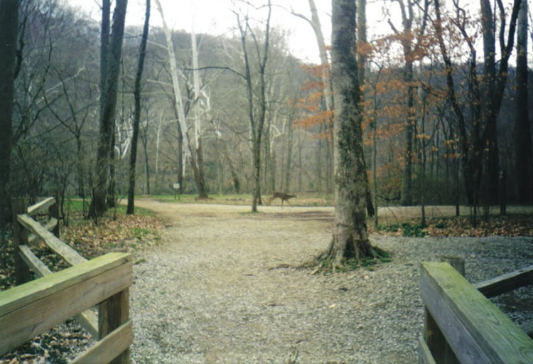 Mammoth Cave National Park